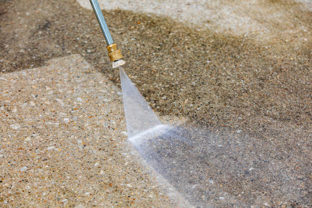 Animal Enclosure Cleaning in The Village, OK